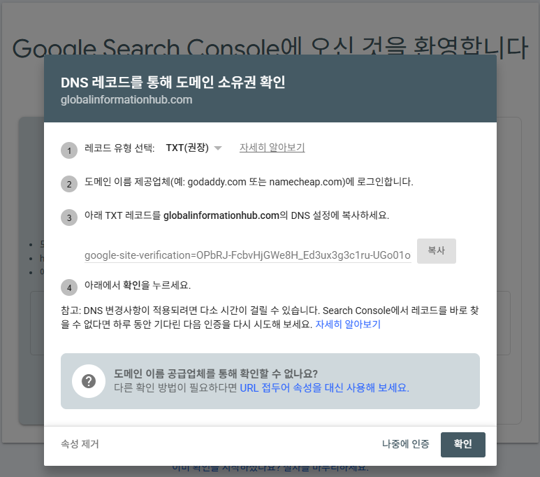 Google Search Console DNS 소유권 인증